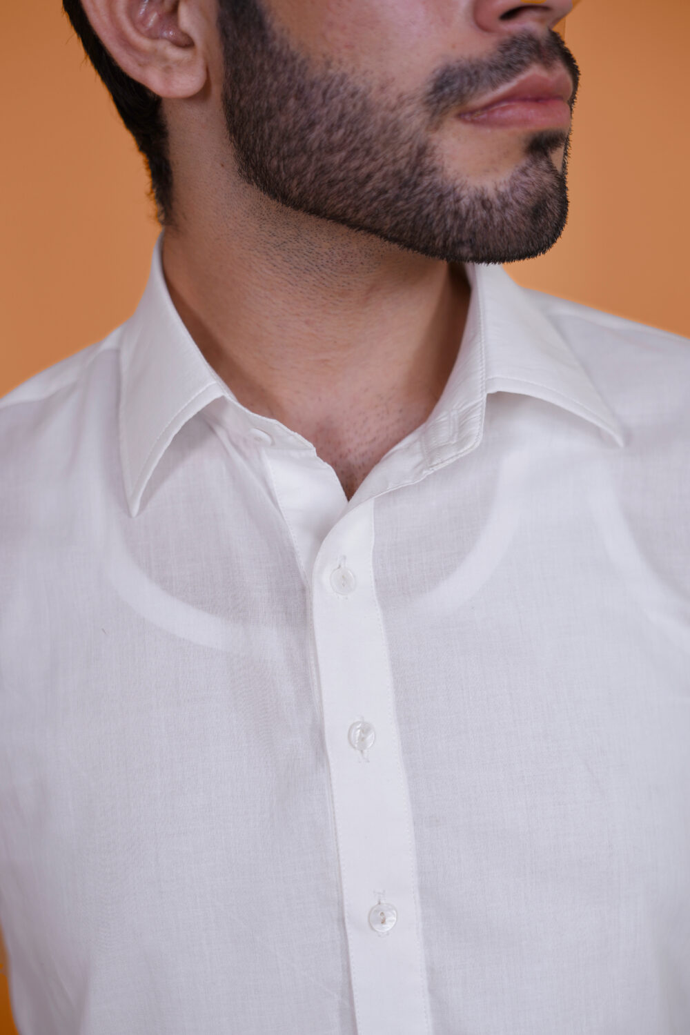 Cotton Canvas - Image 4